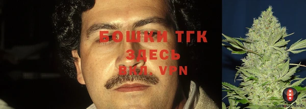 spice Абинск