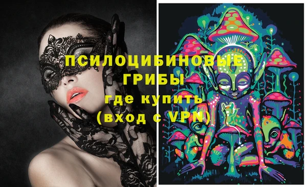 spice Вяземский